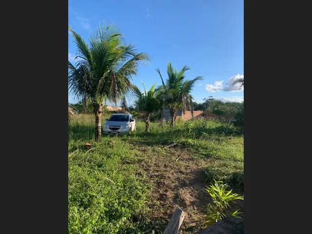Imagem 12: Chacara À Venda em Serrinha - Oportunidade Única!