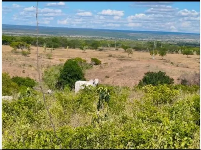 Imagem: Fazenda com 383 Hactares, com Porteira