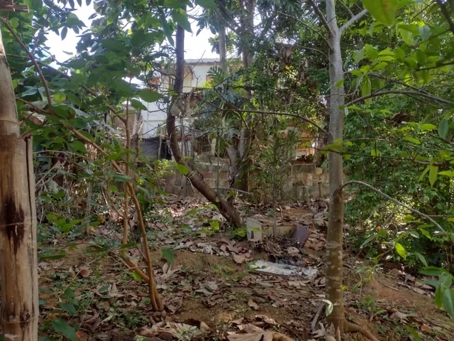 Imagem 9: Imovel em Leopoldina, Mg, Bairro: Pedro Brito Neto