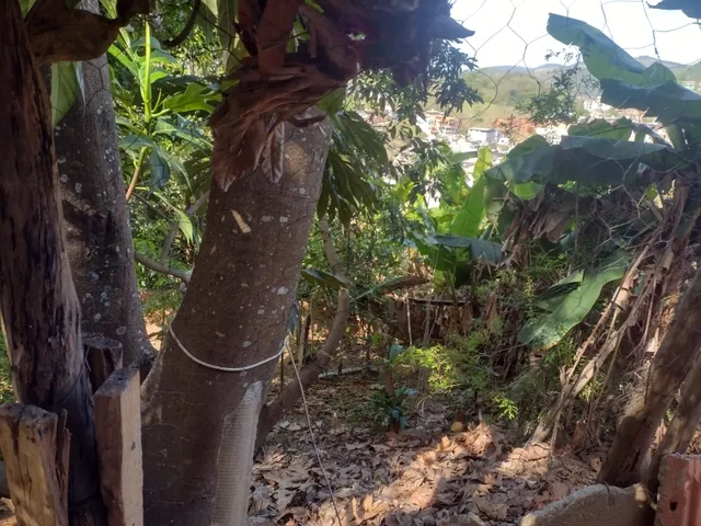 Imagem 4: Imovel em Leopoldina, Mg, Bairro: Pedro Brito Neto