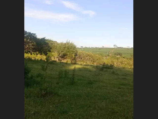 Imagem: Corretor Elci Martins Vende - Terreno 20.000M2