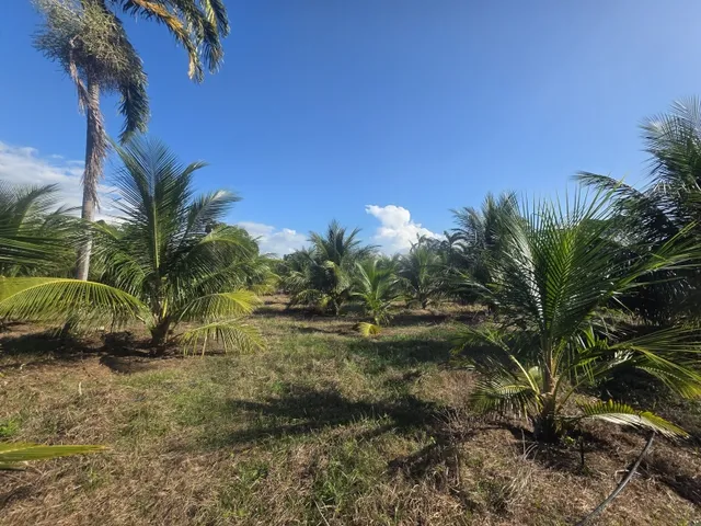 Imagem 7: Viva a Tranquilidade do Campo com Renda Garantida!