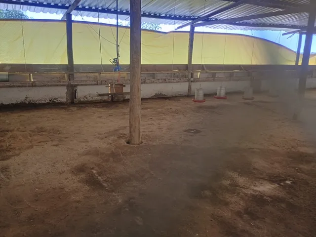 Imagem: Fazenda de 34 Há em Passa Tempo Mg