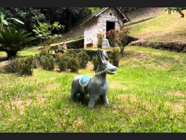Imagem 5: Sítio a Venda na Posse - Petrópolis/Rj