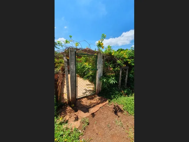 Imagem 9: Vendo 13,36 Alqueires na Região de Cornélio Procópio Pr