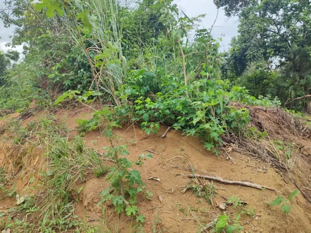 Imagem 3: Pronto para Construir! Terreno 1000M² - Financiado em 180X