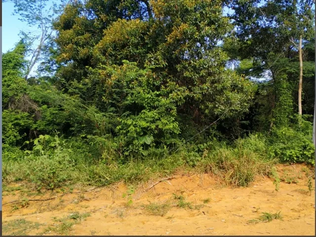Imagem 2: Pronto para Construir! Terreno 1000M² - Financiado em 180X