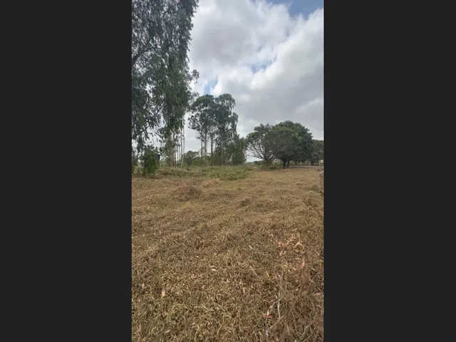 Imagem 10: Chacara Mil Mt Financiada em Itatiaiuçu Mg