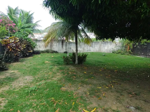 Imagem 3: Parque das Laranjeiras - Manaus