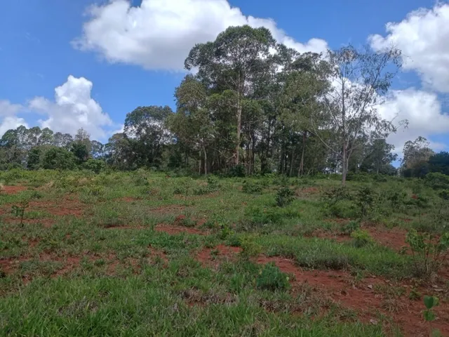 Imagem: Terreno de 53 Ha em Oliveira Mg