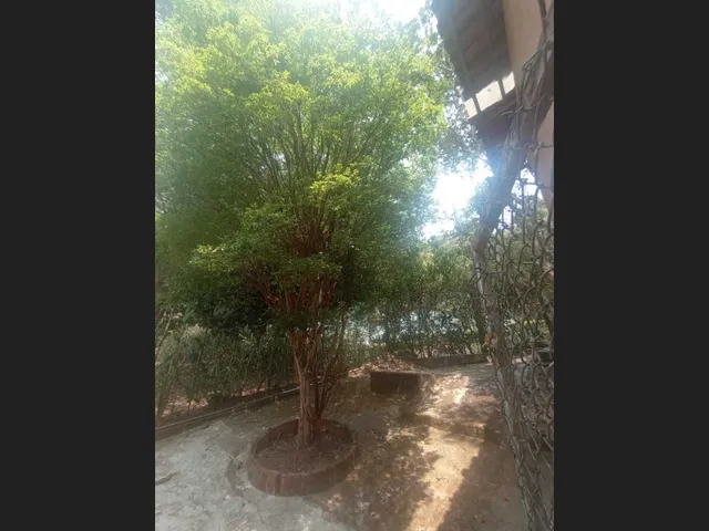 Imagem 14: Casa Com03 Quartos em Pedro do Rio - Petrópolis/Rj