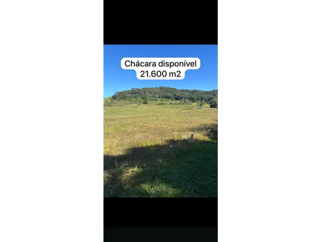Imagem 6: Chácara Próximo Ao Distrito de São Domingos - Apucarana/Pr