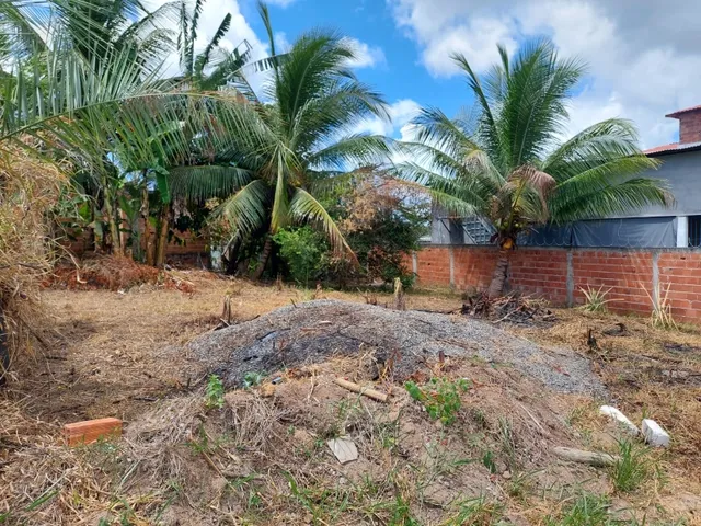 Imagem: Lote a Venda em Malhadas