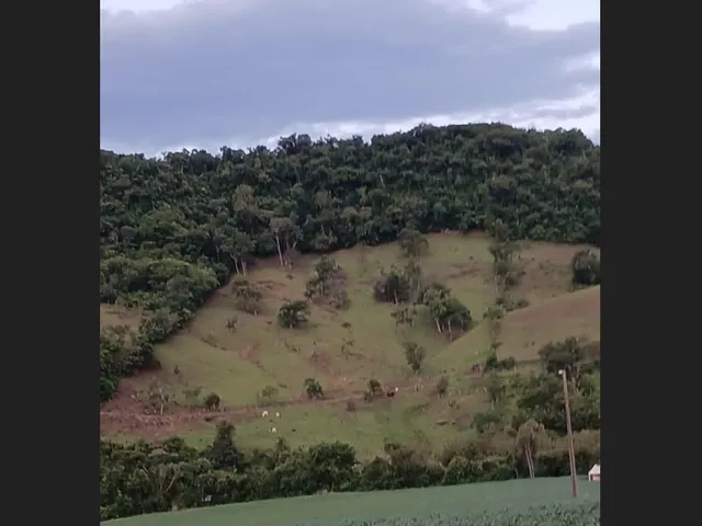 Imagem: Chácara 2 Alqueires a 5 Kilometros de Jardim
