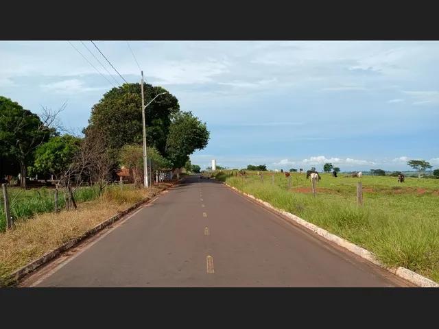Imagem 10: Chácara 5 Mil Metros com Casa a 1 Km da Cidade de Pérola no Pr Asfaltado Até Entrada
