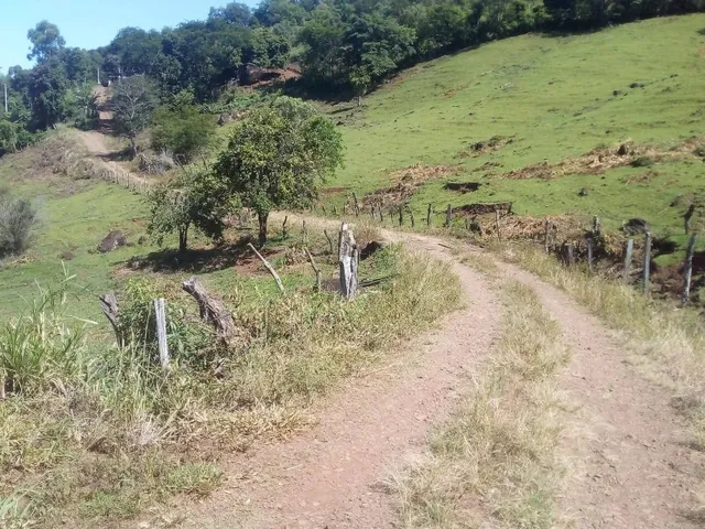 Imagem 7: Maringá Chácara 2 Alqueires a 5 Kilometros da Cidade de Jardim Alegre Pr