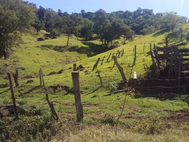 Imagem 10: Maringá Chácara 2 Alqueires a 5 Kilometros da Cidade de Jardim Alegre Pr