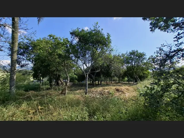 Imagem 6: Sítio a Venda 10 Hectares com Casa 5 Dorm. com Riacho, Pastagem e Pomar de Frutas