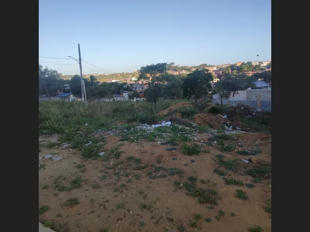Imagem 7: Invista com Segurança: Quem Compra Terra Não Erra!