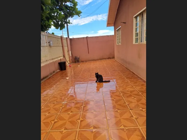 Imagem 11: Casa Sabáudia Pr 3 Quartos Rua São Mateus N 11 Jardim Brasil 2