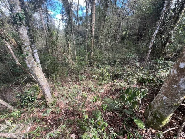 Imagem 6: Vendo Lote de 361,59M² - Loteamento Saveiros, Ressaca, Ibiuna/Sp