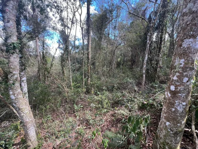 Imagem 5: Vendo Lote de 361,59M² - Loteamento Saveiros, Ressaca, Ibiuna/Sp