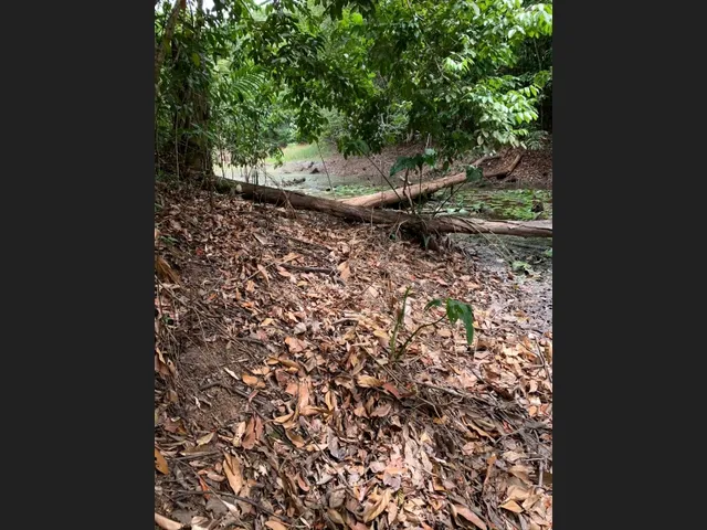 Imagem 4: Terreno com Mais de 50.000M² em Outeiro