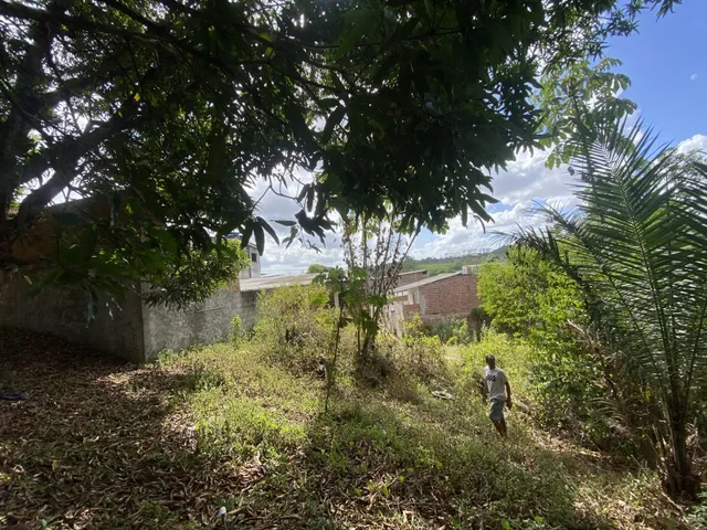 Imagem: O terreno está localizado em Marcos Freire, Jaboatão dos