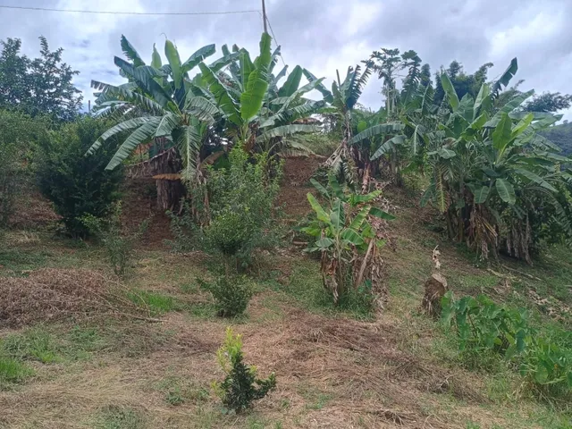 Imagem 3: Sítio de 6 Mil Mt em Itaguara Mg
