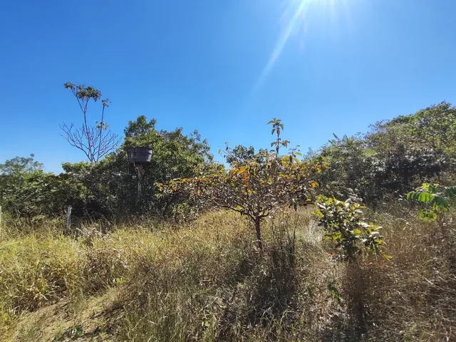 Imagem 6: Área de Terra 5,5 Alqueires em Alexânia Goiás