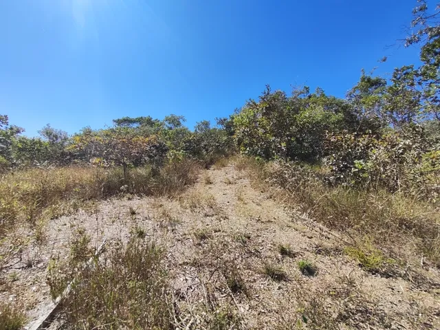 Imagem 8: Área de Terra 5,5 Alqueires em Alexânia Goiás