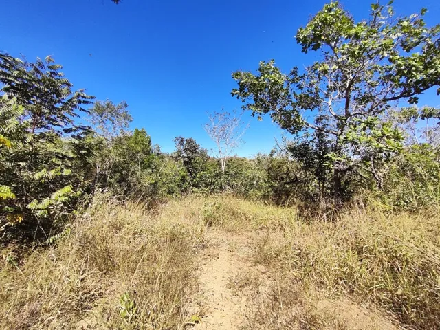 Imagem 9: Área de Terra 5,5 Alqueires em Alexânia Goiás