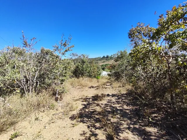 Imagem 10: Área de Terra 5,5 Alqueires em Alexânia Goiás