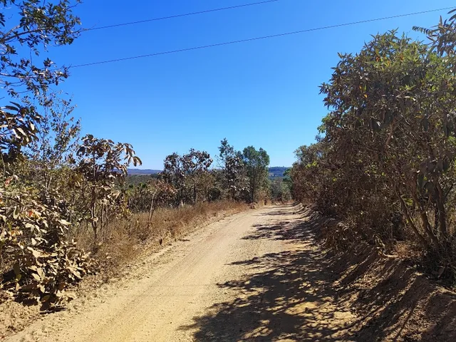 Imagem 12: Área de Terra 5,5 Alqueires em Alexânia Goiás