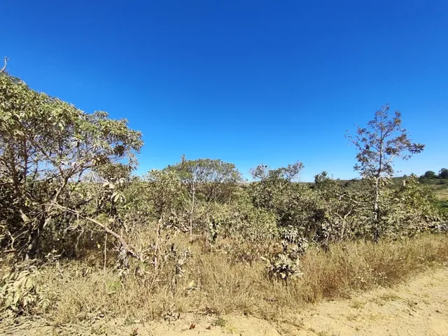 Imagem 11: Área de Terra 5,5 Alqueires em Alexânia Goiás