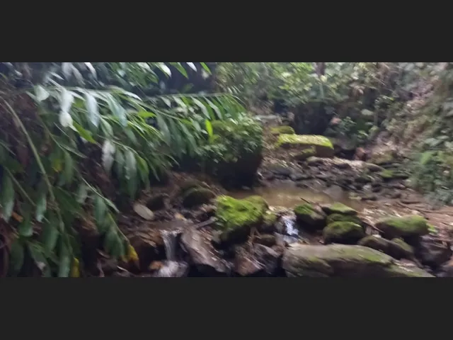 Imagem: Encantadora Chácara de 3.600M2, Delfim