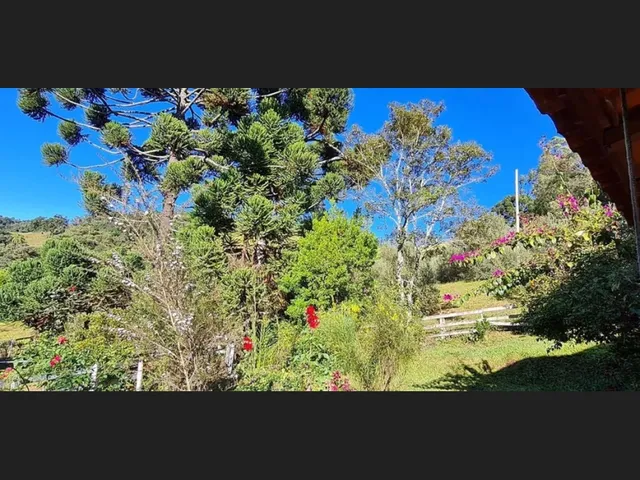 Imagem 6: Encantadora Chácara de 23.300M2 em Delfim Moreira-Mg