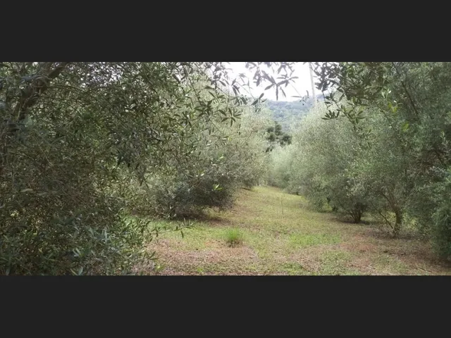 Imagem 3: Encantadora Chácara de 23.300M2 em Delfim Moreira-Mg