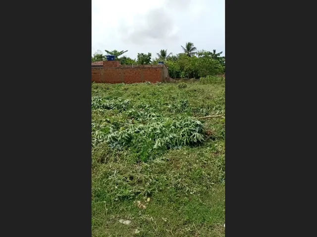Imagem: Terreno Taiçoca/Se