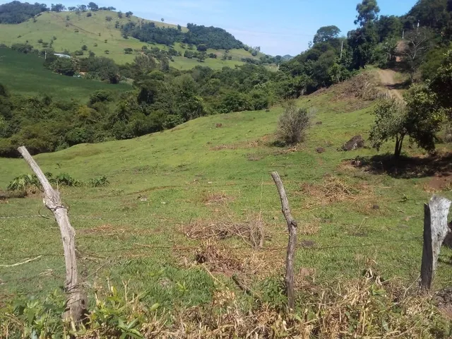 Imagem 3: Chácara 2 Alqueires a 5 Km da Cidade de Jardim Alegre Paraná