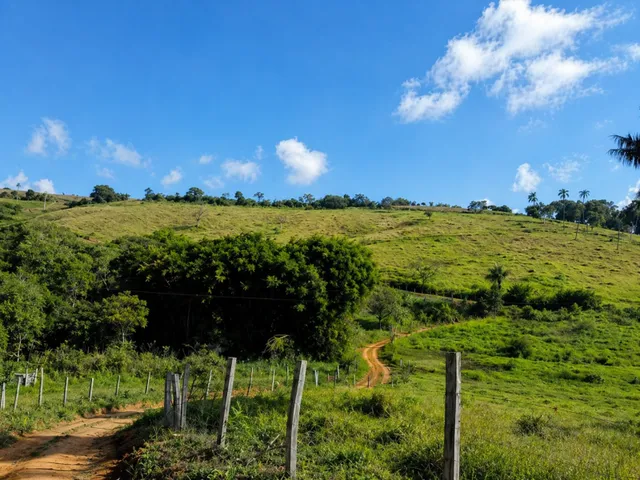 Imagem: Sítio 3.5 Alqueires À Venda em Bandeira