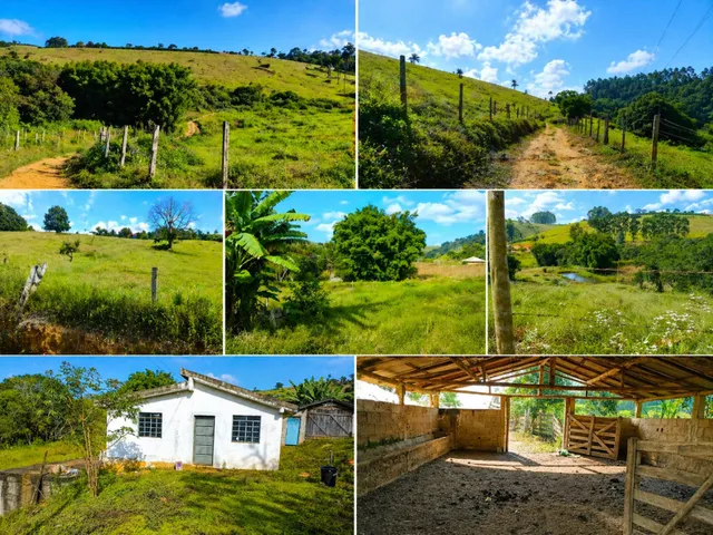 Imagem 4: Sítio 3.5 Alqueires À Venda em Bandeira do Sul - Mg. R$650.000,00