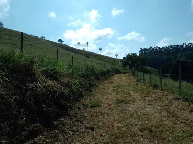 Imagem 8: Sítio 3.5 Alqueires À Venda em Bandeira do Sul - Mg. R$650.000,00