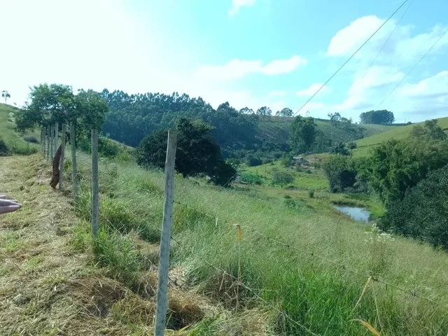 Imagem 7: Sítio 3.5 Alqueires À Venda em Bandeira do Sul - Mg. R$650.000,00