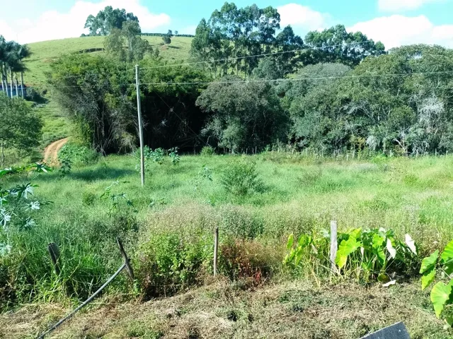 Imagem 3: Sítio 3.5 Alqueires À Venda em Bandeira do Sul - Mg. R$650.000,00