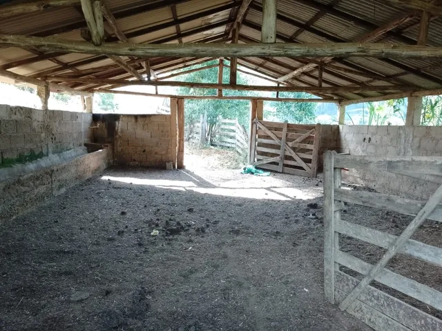 Imagem 10: Sítio 3.5 Alqueires À Venda em Bandeira do Sul - Mg. R$650.000,00