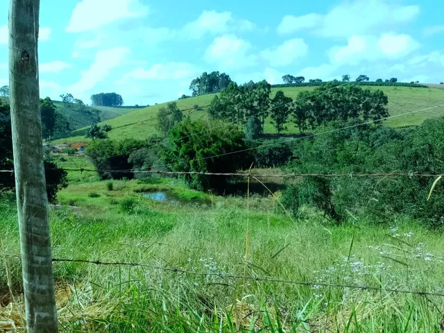 Imagem 5: Sítio 3.5 Alqueires À Venda em Bandeira do Sul - Mg. R$650.000,00