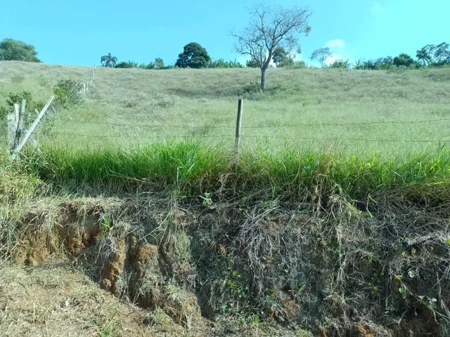 Imagem 11: Sítio 3.5 Alqueires À Venda em Bandeira do Sul - Mg. R$650.000,00