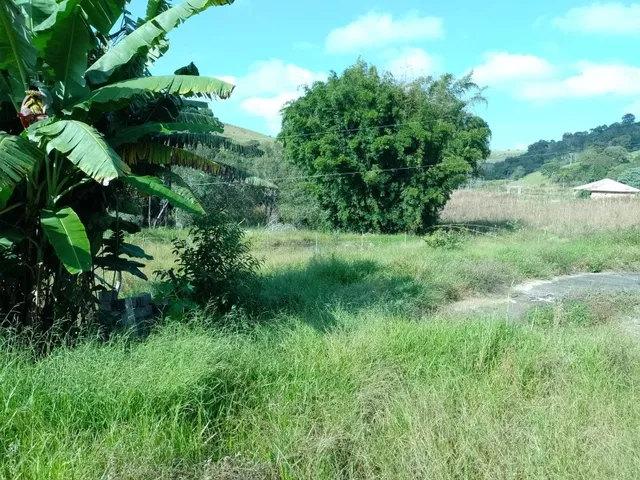 Imagem 9: Sítio 3.5 Alqueires À Venda em Bandeira do Sul - Mg. R$650.000,00