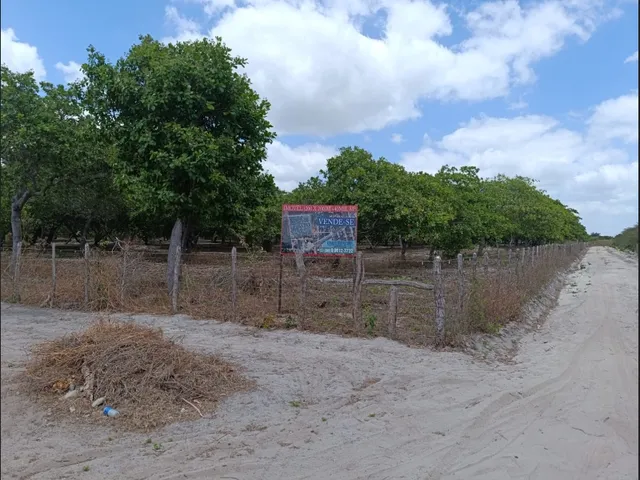 Imagem 4: Terreno Urbano em Jijoca de Jericoacoara Ce